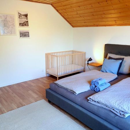 Helle Ferienwohnung mit Balkon, Küche, Parkplatz&Waschmaschine Offenburg Exterior foto