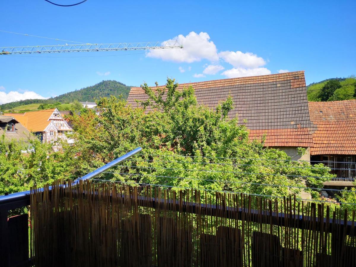 Helle Ferienwohnung mit Balkon, Küche, Parkplatz&Waschmaschine Offenburg Exterior foto